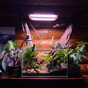 Meet your Posher, Ian